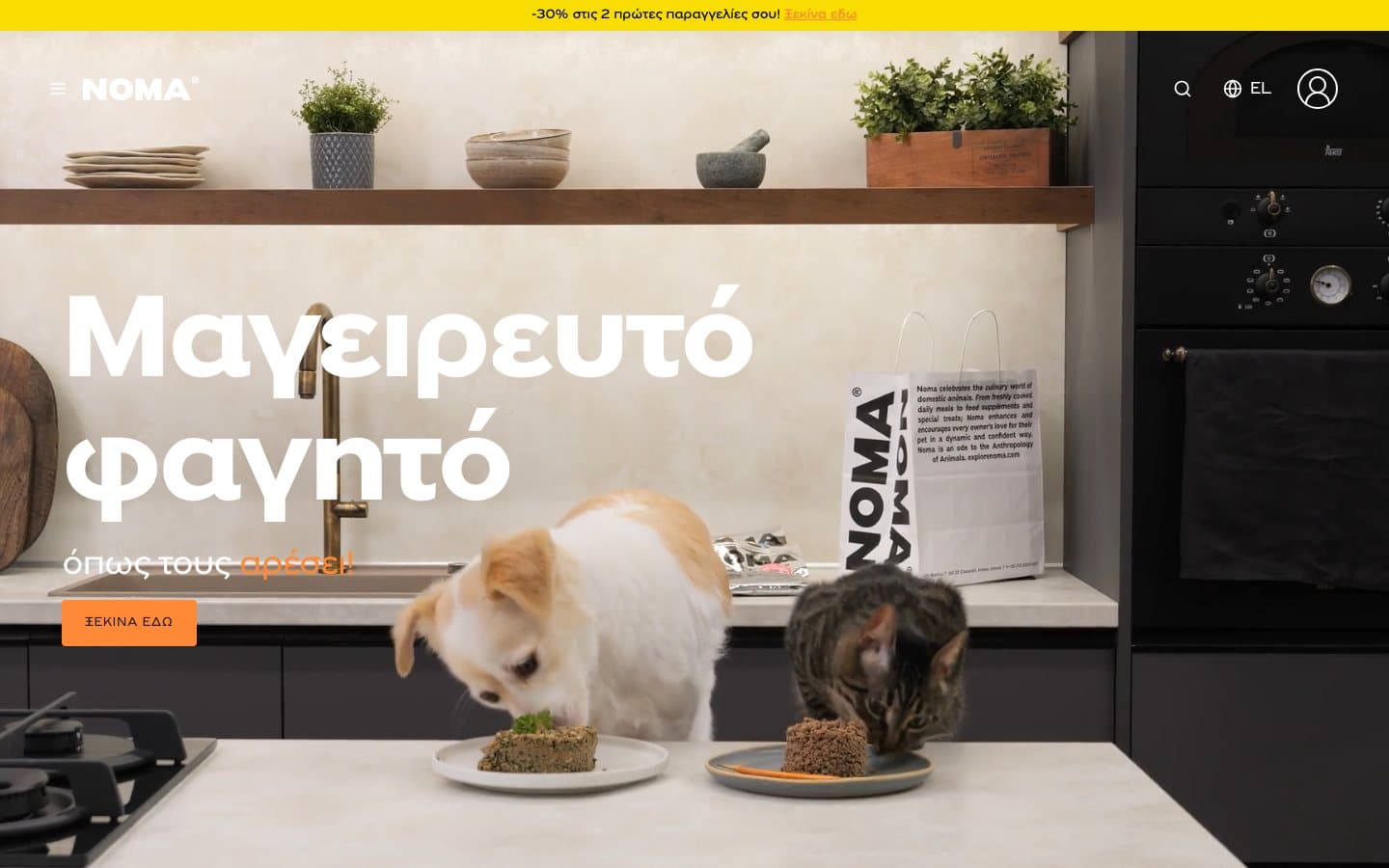 NOMA website